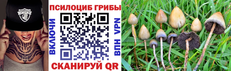 закладка  Керчь  Псилоцибиновые грибы мухоморы 